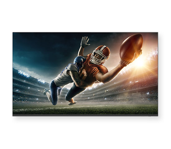 Sharp/NEC Monitor, 43"  Class Commercial LCD Monitor, 4P-B43EJ2U